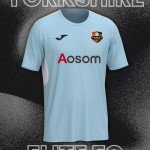 Away Shirt Adult