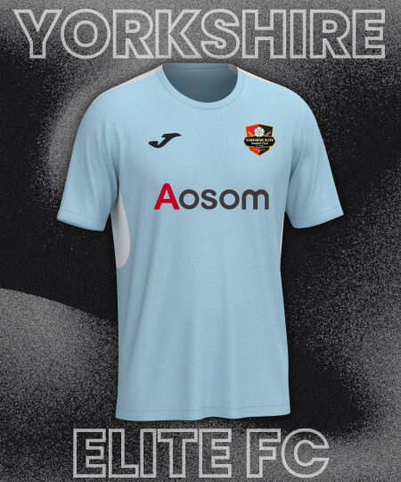 Away Shirt Adult